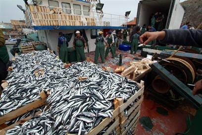 Hamsi avı, beklenenden 4 ay önce bitti